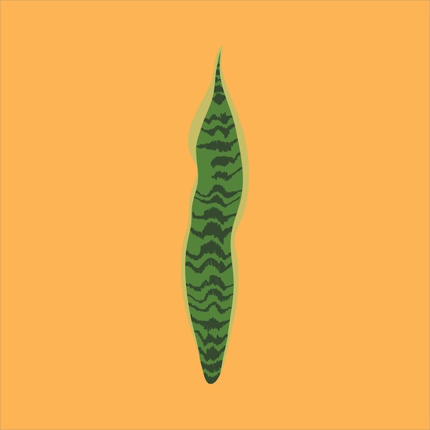 Plik wektorowy sansevieria liść roślina ilustracja wektor eps plik pozostawia tropikalny liść