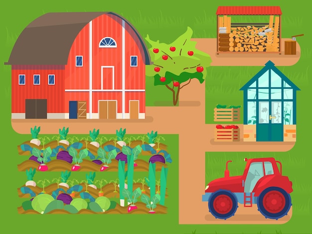 Plik wektorowy scena farmy. czerwona stodoła, grządki warzywne, traktor, szklarnia z roślinami, stos drewna, drewno opałowe, jabłoń, skrzynie z warzywami.