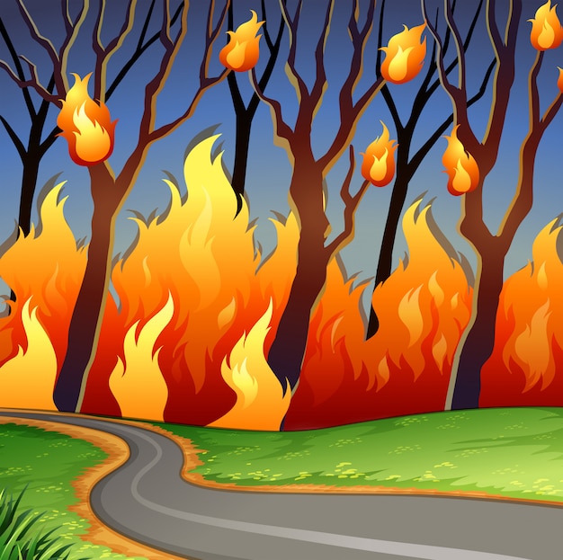Plik wektorowy scena katastrofy pożaru lasu