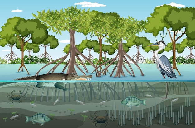 Plik wektorowy scena krajobrazu lasu namorzynowego w ciągu dnia z wieloma różnymi zwierzętami
