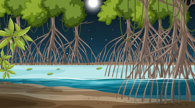 Plik wektorowy scena krajobrazu lasu namorzynowego w nocy