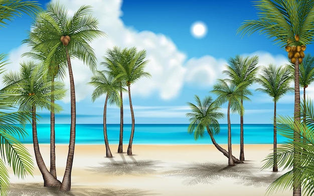 Scena plaży Tło nieba oceanu dla letnich podróży baner Sztuki przyrody letnie Drzewa tropikalne i chmury Liście palmowe Krajobraz przybrzeżny Puste wybrzeże projektowanie krajobrazu morskiego wektorowego