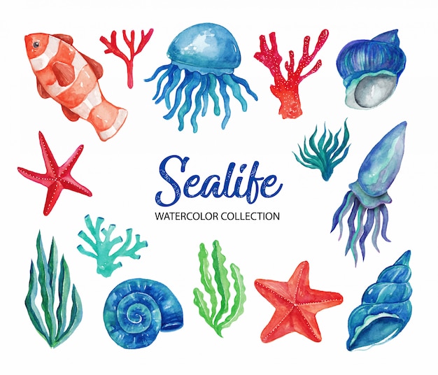 Sealife Watercolor Elementy