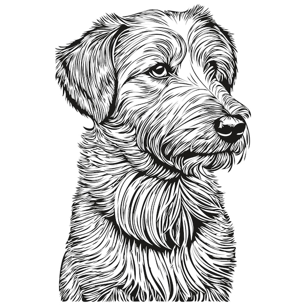 Sealyham Terrier Pies Zwierzę Szkic Ilustracji Czarno-białe Grawerowanie Wektor Realistyczne Rasy Zwierząt Domowych