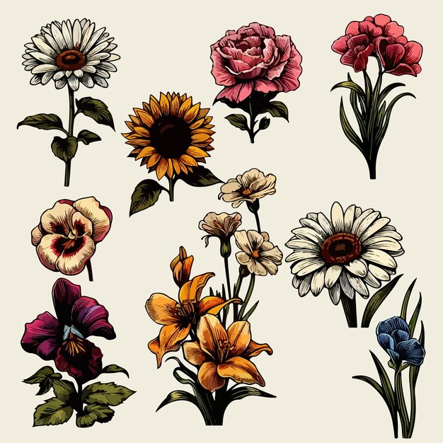 Plik wektorowy set of big of beautiful colorful flowers vector illustration