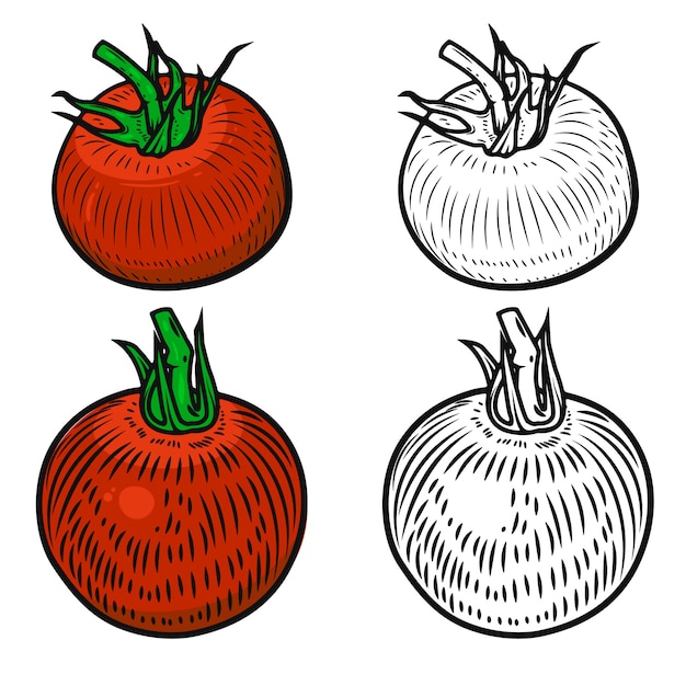 Set Pomidory Na Białym Tle. Elementy Logo, Etykiety, Godła, Plakatu, Menu. Ilustracja
