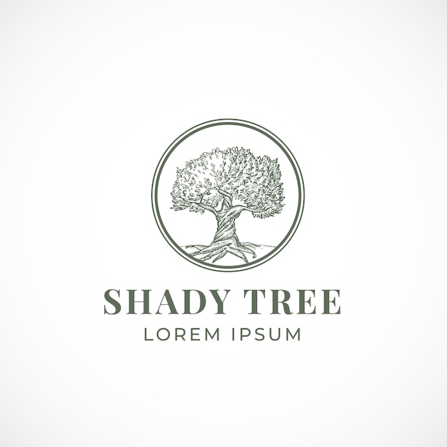 Shady Tree Streszczenie Znak, Symbol Lub Szablon Logo.