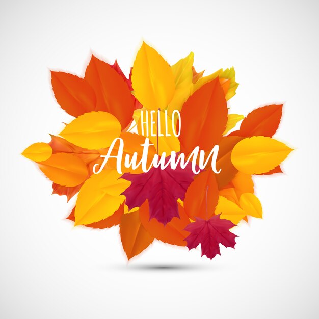 Shiny Hello Autumn Natural Leaves.