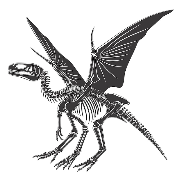 Silhoueta szkielet pterodaktylowego dinozaura tylko kolor czarny