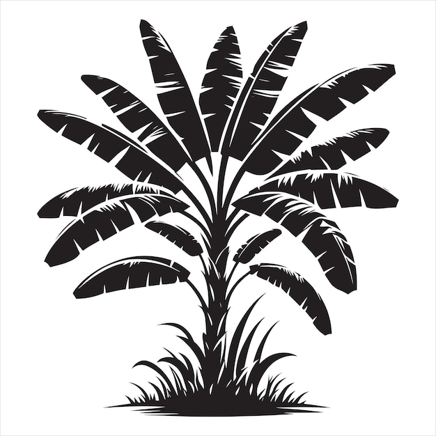 Plik wektorowy silueta drzewa bananowego ikony czarno-białe drzewo bananowe ilustracja wektorowa czarny stoc