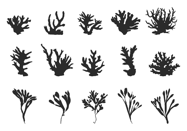 Plik wektorowy silueta koralów morskich silueta wodorostów silueta klipartów koralowych ilustracja wektorowa