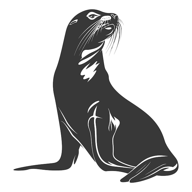 Plik wektorowy silueta lwa morskiego kolor zwierzęcy czarny tylko całe ciało