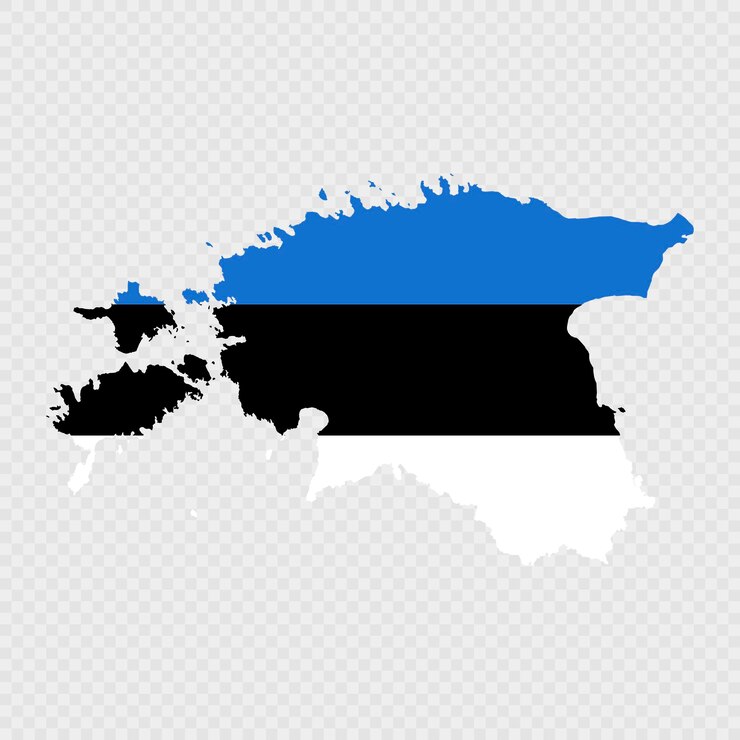 Wektor silueta mapy estonii z flagą