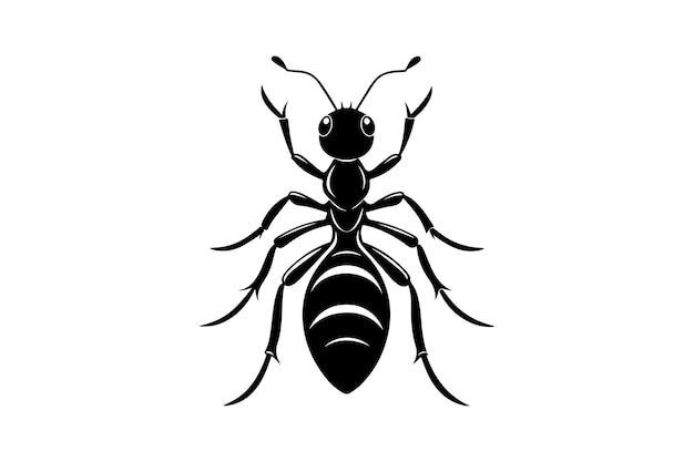 Silueta mrówki dla ilustracji artystycznej Logo piktogram Strona internetowa lub element projektowania graficznego Wektor