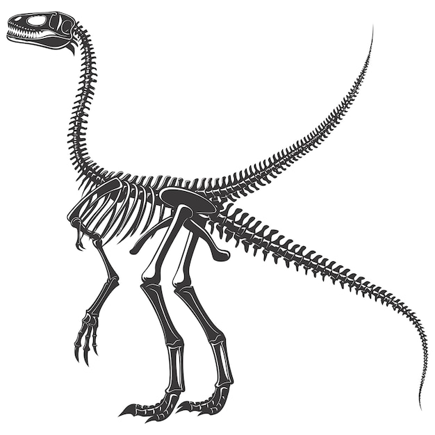 Silueta Szkielet dinozaura tylko kolor czarny