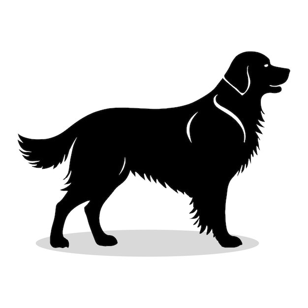 Siluety i ikony Golden Retriever Czarny płaski kolor białe tło Zwierzę Golden Retriaver