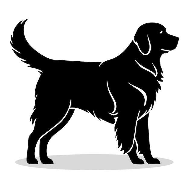 Siluety i ikony Golden Retriever Czarny płaski kolor białe tło Zwierzę Golden Retriaver