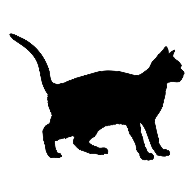 Siluweta kota smoka Li hoduje wektor monogramu logo kota
