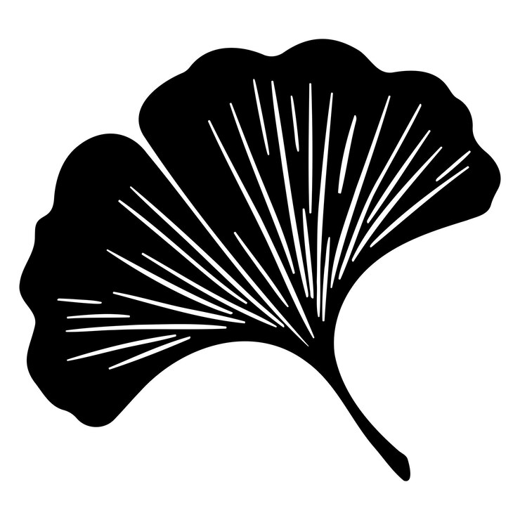 Wektor siluweta liścia ginkgo ilustracja wektorowa
