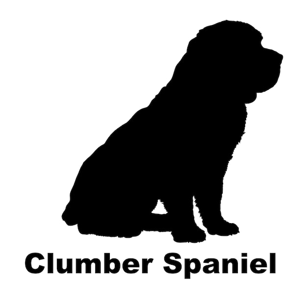 Plik wektorowy siluweta psa clumber spaniel rasy logo monogram wektor