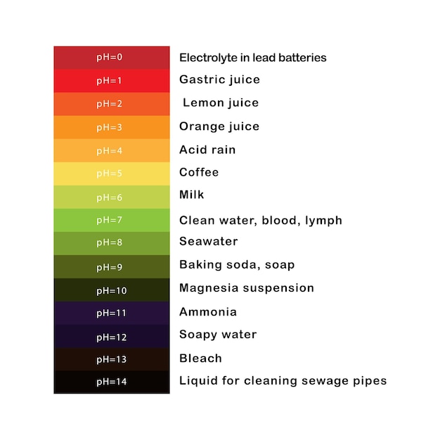 Skala Ph Potentia Hydrogenii Ciecze Z Przykładami Grafika Wektorowa