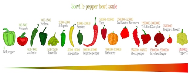 Skala temperatury pieprzu Scoville Ilustracja pieprzu od najsłodszego do bardzo ostrego