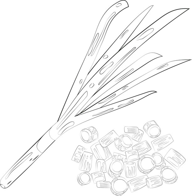 Sketch Chopped Onion Element Chives Slices Ilustracja Karta graficzna Element Art