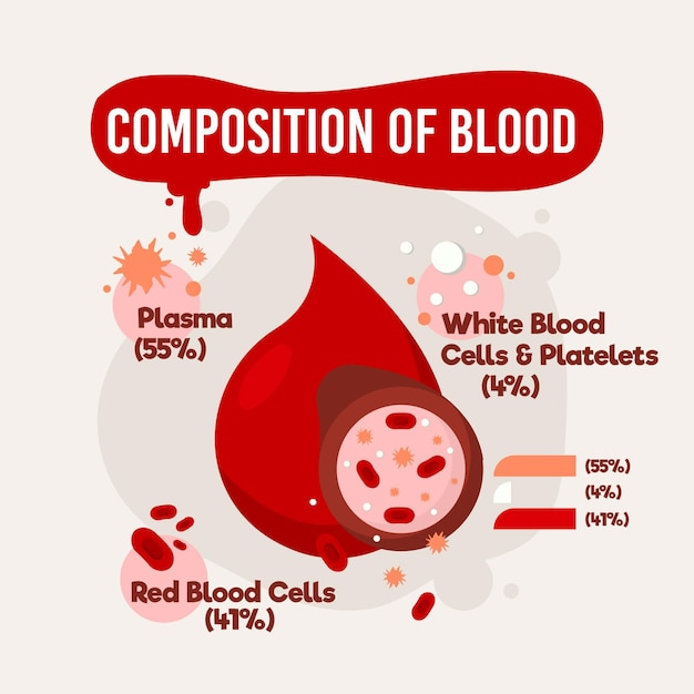Plik wektorowy skład infografiki płaska konstrukcja krwi