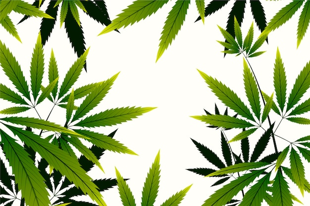 Skopiuj miejsce tło botaniczne konopi