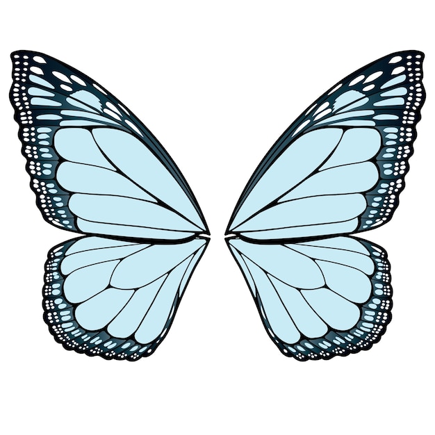 Plik wektorowy skrzydła motyla