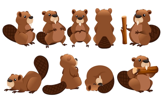 Plik wektorowy Śliczna brązowa kolekcja bobrów ilustracja projektu postaci z kreskówek
