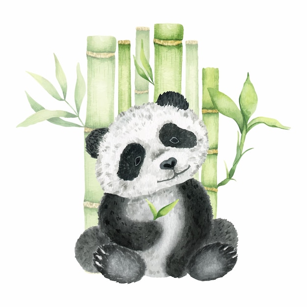 Śliczna Panda Siedzi Odizolowana Na Białym Tle Ilustracja Akwarela Zwierzę Dzikie