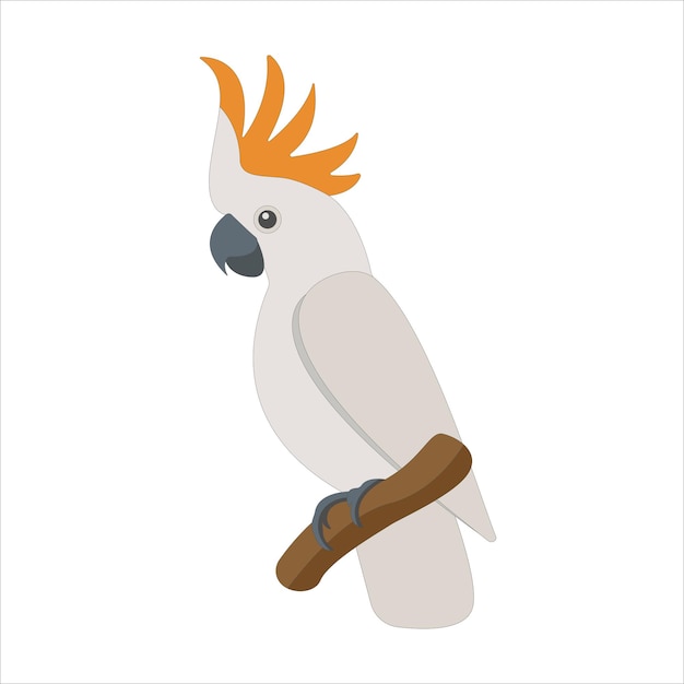 Śliczna Płaska Kakadu Na Białym Tle Wektorowa Biała Szczęśliwa Papuga