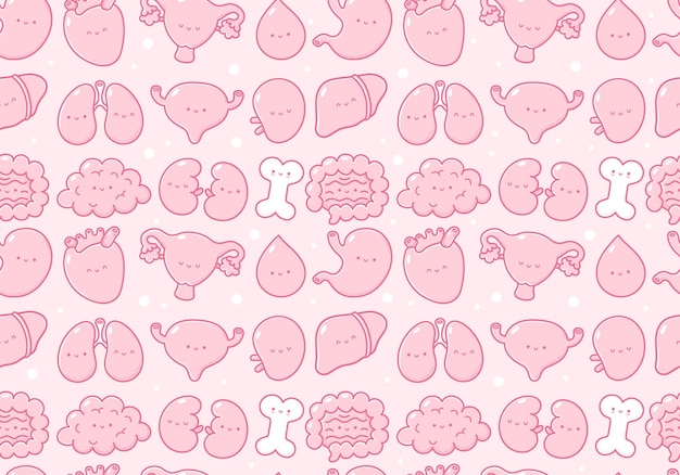 Plik wektorowy Śliczne narządy ludzkie charakter wzór wektor linii kreskówka kawaii charakter ilustracja ikonabonesbrachheartuteruskrewwątrobapłucapęcherzpleejelitnerki wzór