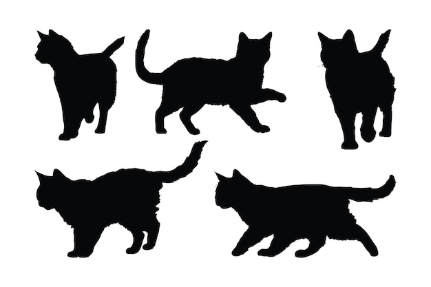 Śliczny futrzany kot na białym tle sylwetka wektor zestaw Domowy kot chodzący w różnych pozycjach sylwetka pakiet Anonimowy czarny kot sylwetka Ładny ciemny kot chodzący wektor wzór