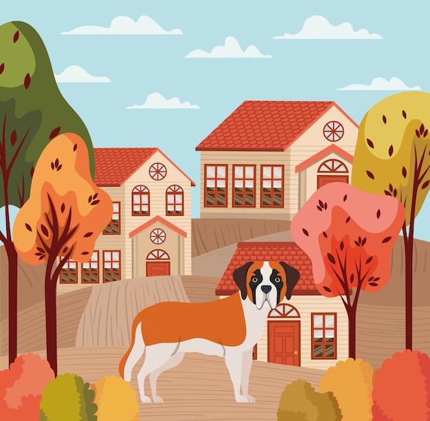 Śliczny Pies W Piękna Sąsiedztwa Jesieni Scenie