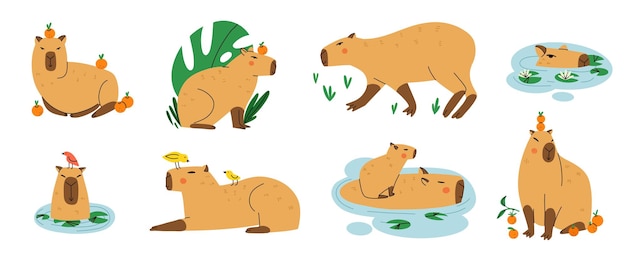Plik wektorowy słodki kapybara zabawny kapibara urocze egzotyczne zwierzę pływające stojące i siedzące ameryka południowa ssak relaksujący tropikalne liście i pomarańcze