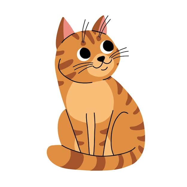 Słodki kot koncepcja urocze zwierzę domowe siedzące Fluffy tabby brązowy zwierzak uroczy kociak