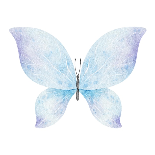 Słodki Niebieski Motyl Zwierzę Wiosenne Izolowana Ilustracja Akwarelowa