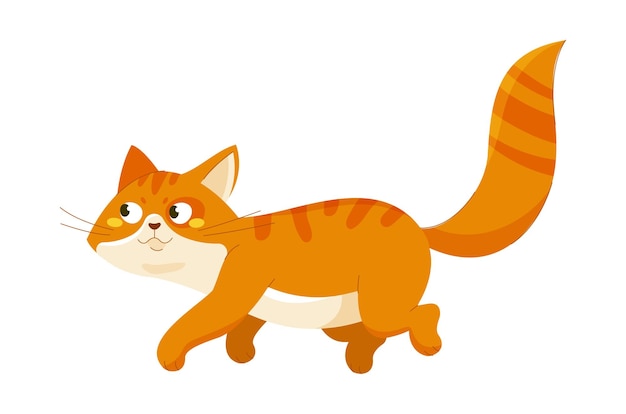 Plik wektorowy słodki pomarańczowy kot urocze, puszyste zwierzę domowe urocze zwierzę domowe ssak i dzikie zwierzęta element graficzny dla strony internetowej ilustracja wektorowa z kreskówką izolowana na białym tle