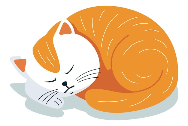 Słodki śpiący czerwony kot kot zwinie się w kłębek