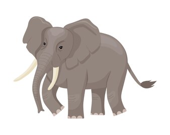 Słoń afrykański ssak dzikich zwierząt duży tropikalny roślinożerny mieszkaniec afryki