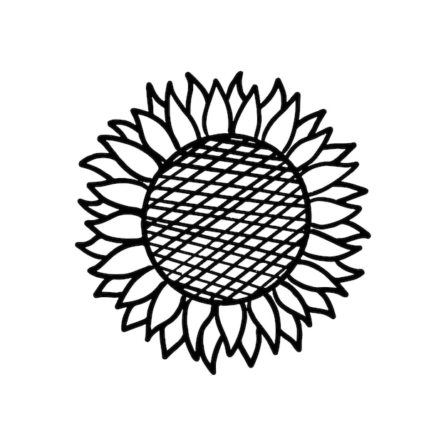 Plik wektorowy słonecznik w stylu doodle wyciągnąć rękę kwiatowy szkic na białym tle