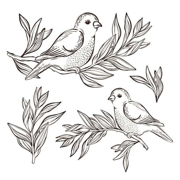 Słowik Na Gałązce Herbaty Songbird Wektor Zestaw Ilustracji