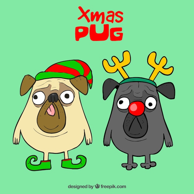 Śmieszne pugs z kostiumami świątecznymi
