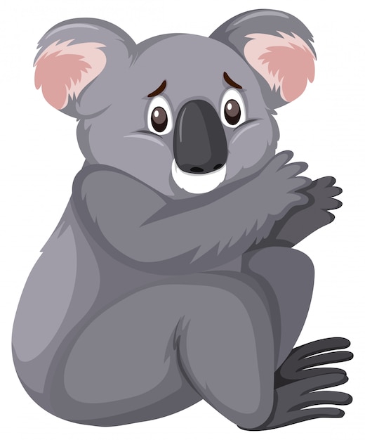 Smutno Wyglądająca Koala