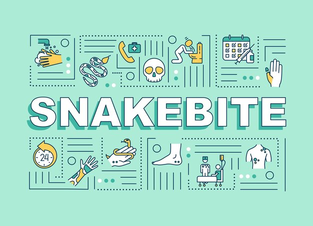 Snakebite Pierwsza Pomoc I Leki, Baner Pojęć Słowo Objaw Reakcji Alergicznej. Infografiki Z Liniowymi Ikonami Na Niebieskim Tle. Typografia Na Białym Tle. Ilustracja Wektorowa Konturu Rgb