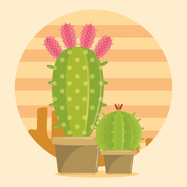 Soczysty garnek Two Cactus na pustyni