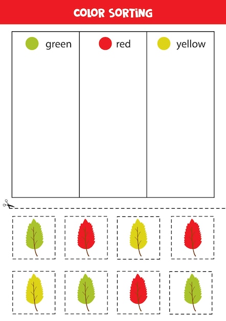 Sortuj Jesienne Liście Według Kolorów. Nauka Kolorów Dla Dzieci.