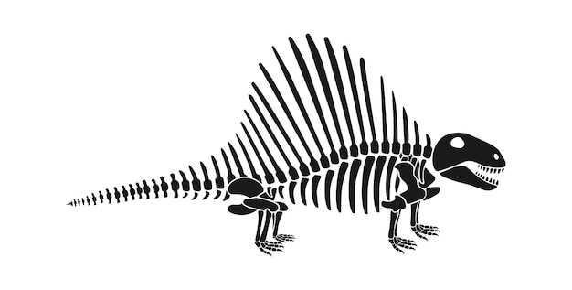 Plik wektorowy spinozaur szkielet dinozaura prehistoryczne zwierzę ilustracji wektorowych